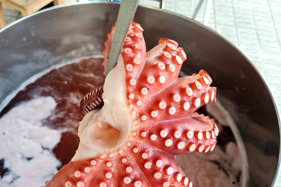 El mejor pulpo