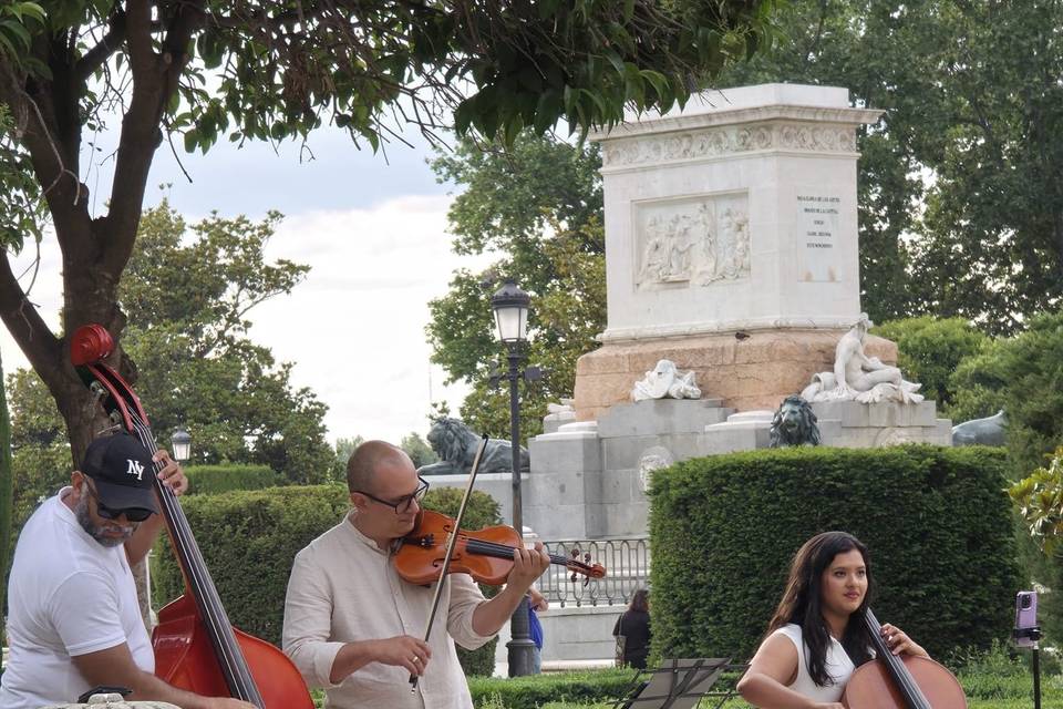 Serenata urbana con cuerdas