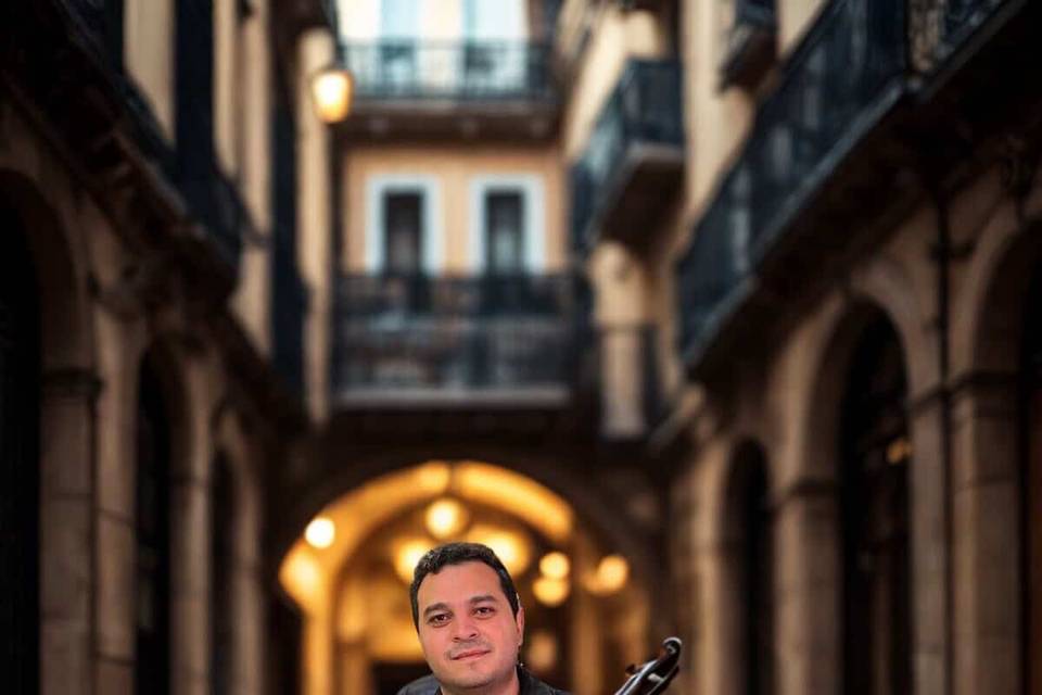 Violin