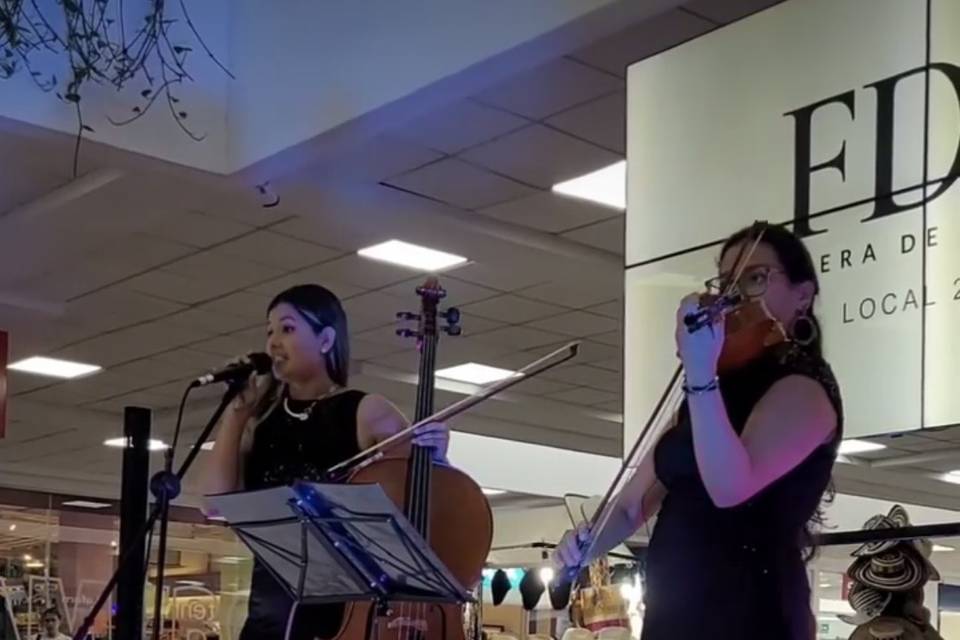 Dúo violín