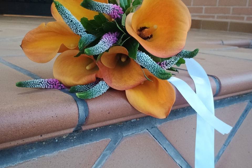 Calas naranjas con verónicas