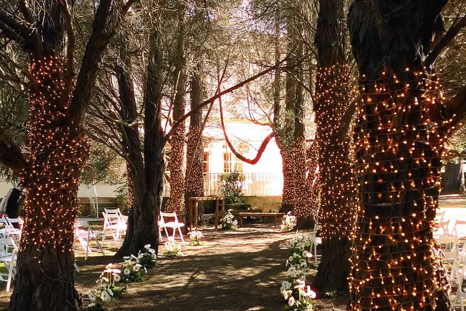 Ceremonia bajo la luz
