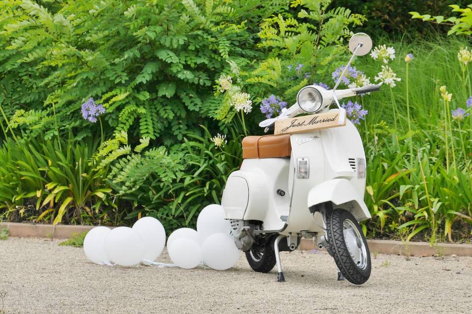 Vespa blanca