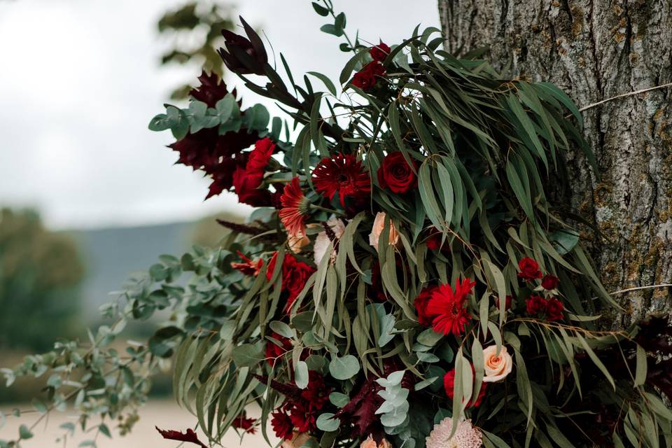 Decoracion