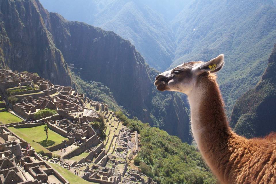 Perú