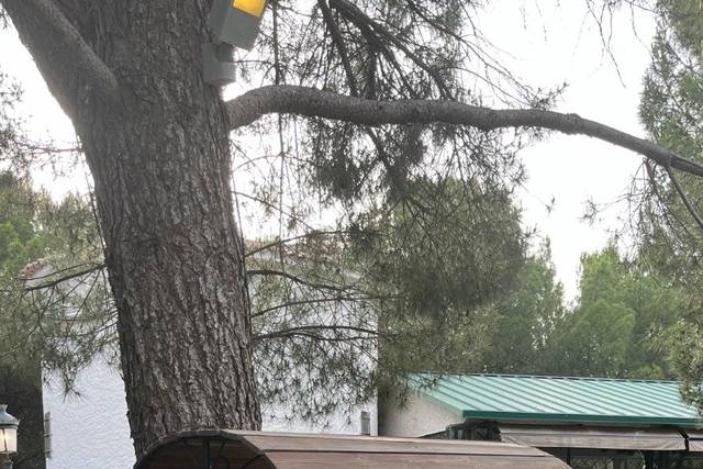 Nacar Wedding Planner