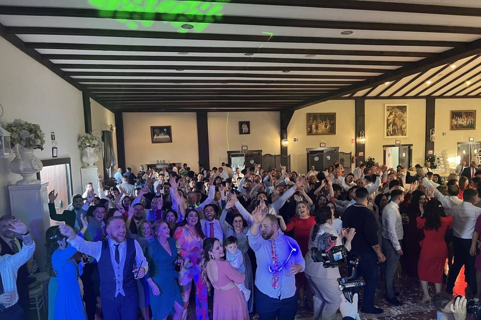 Bodas