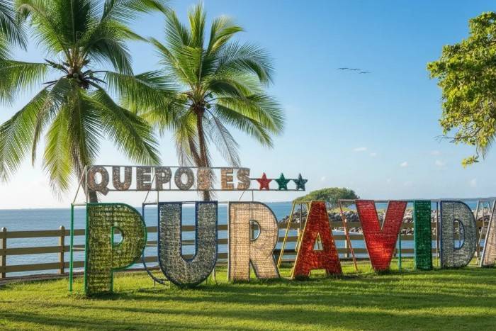 Pura Vida