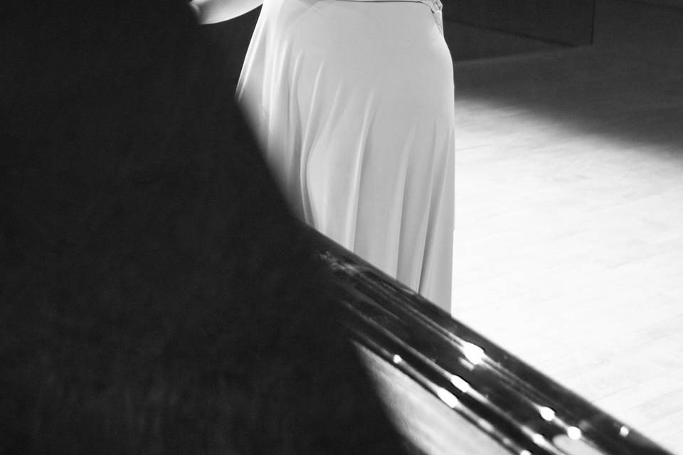 Violinista profesional