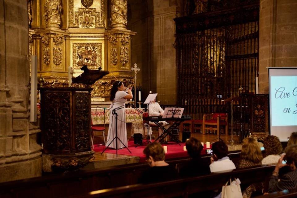 Ponte en contacto con nosotros