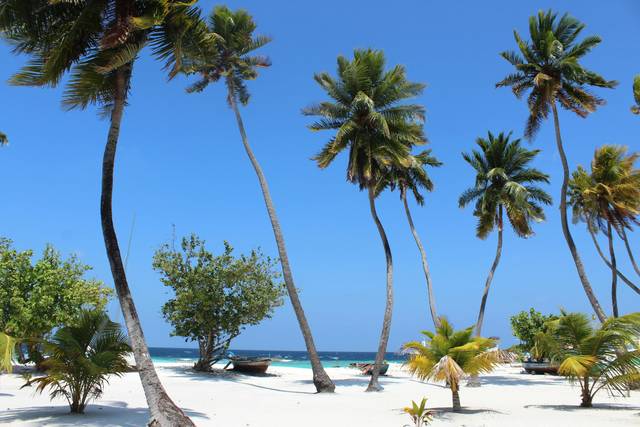 Caribe