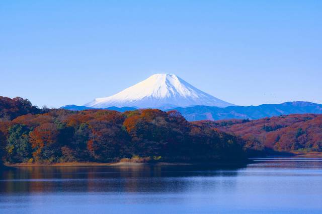 Japón