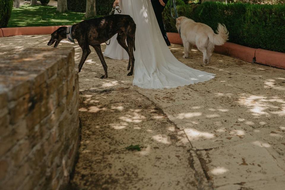 Marta & Guille