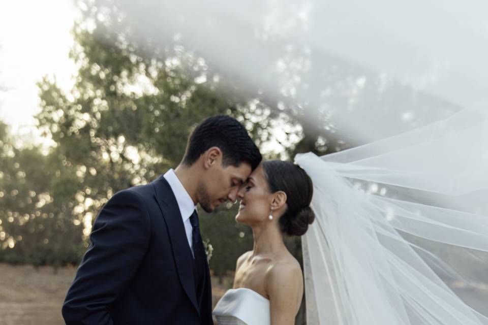 Laura &  Abel