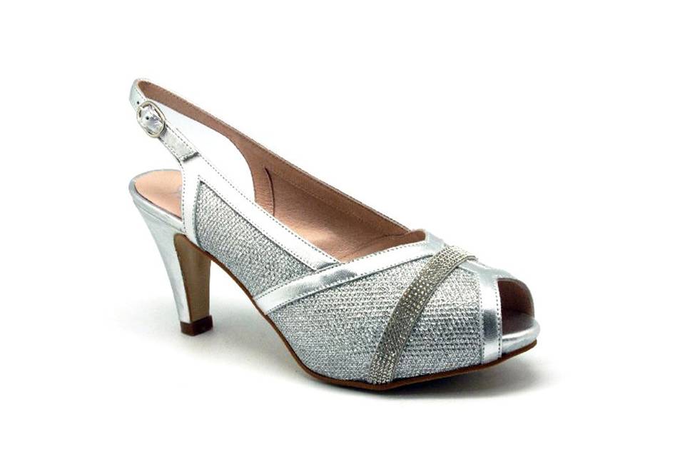 Zapato de plata con cartera