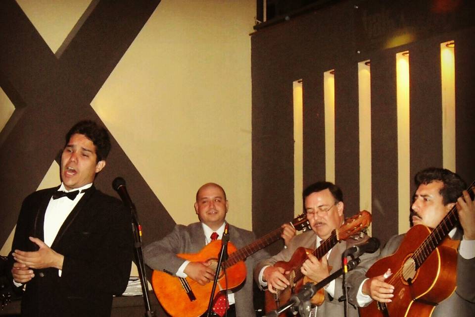 Concierto a trío