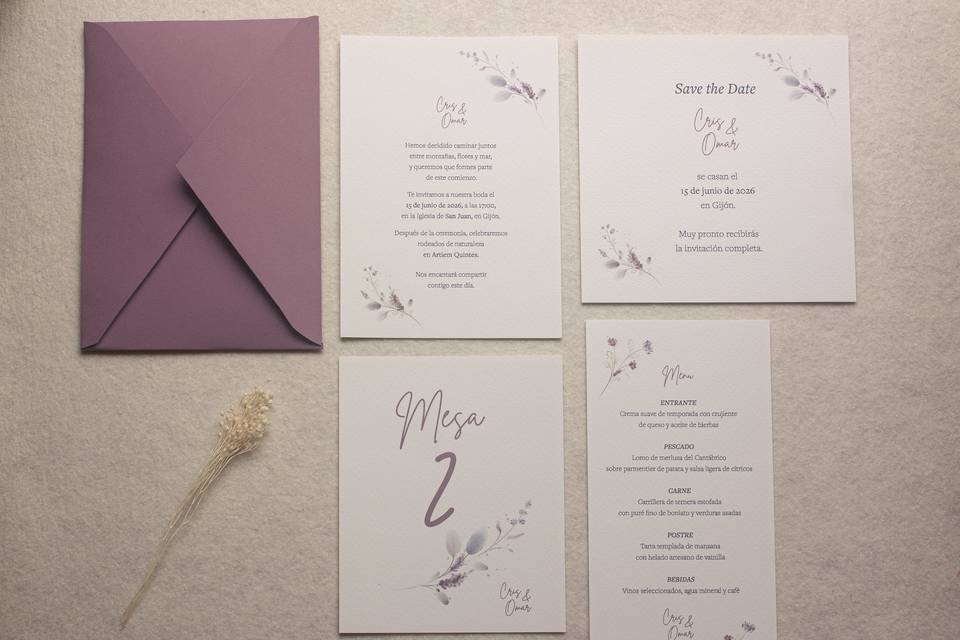 Colección flor de noche