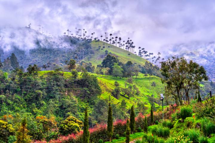 Colombia