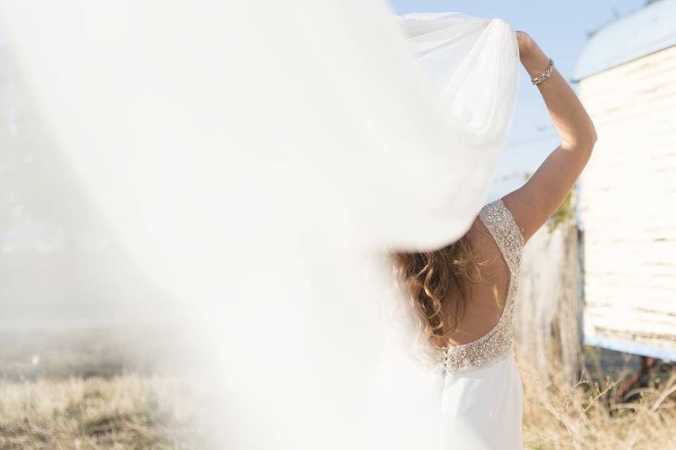 Postboda de Elena