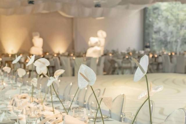 Celebraciones privadas