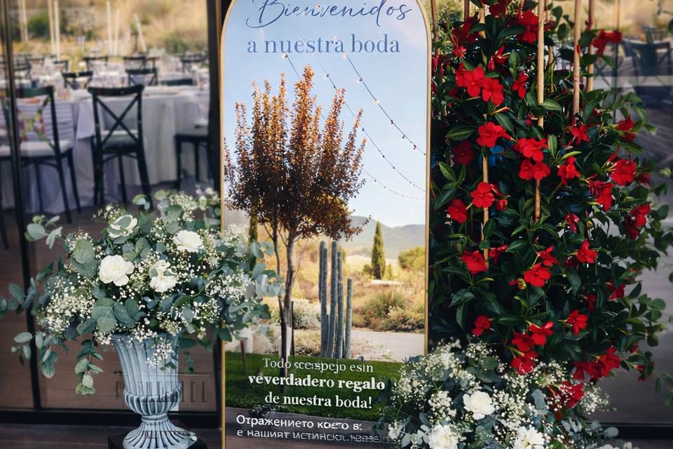 Bloom floristería