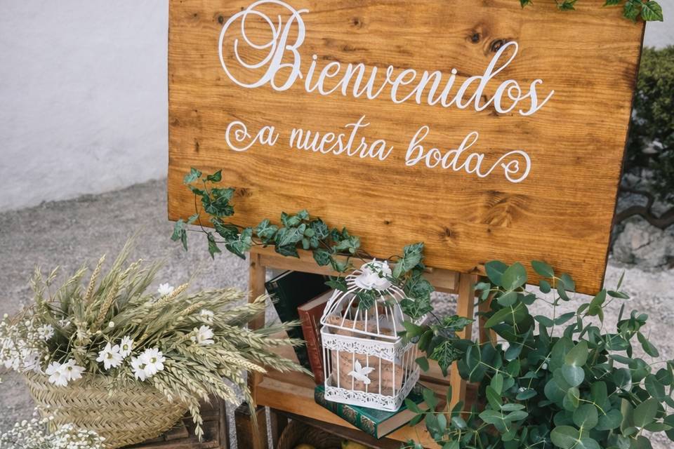 Bloom floristería