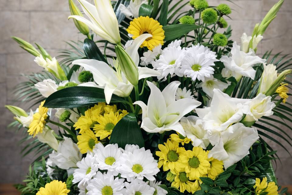 Bloom floristería