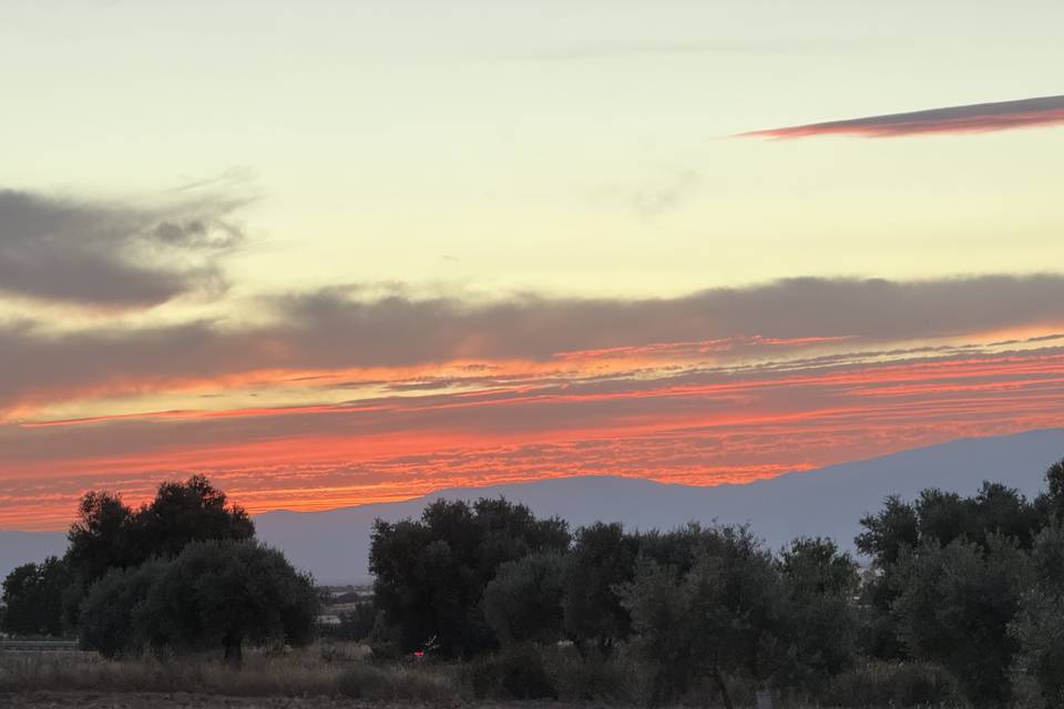Vistas atardecer