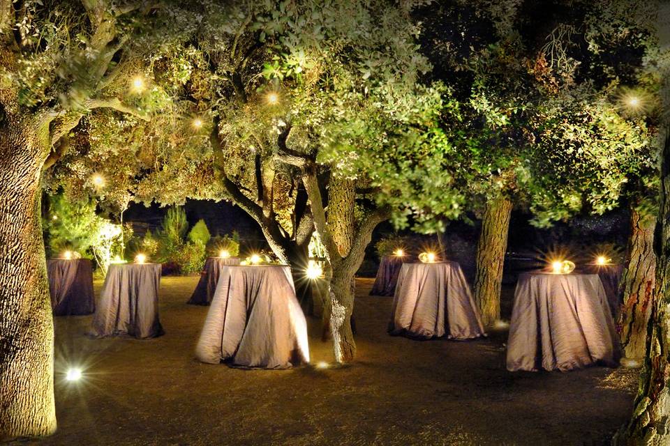 Aperitivos en el bosque