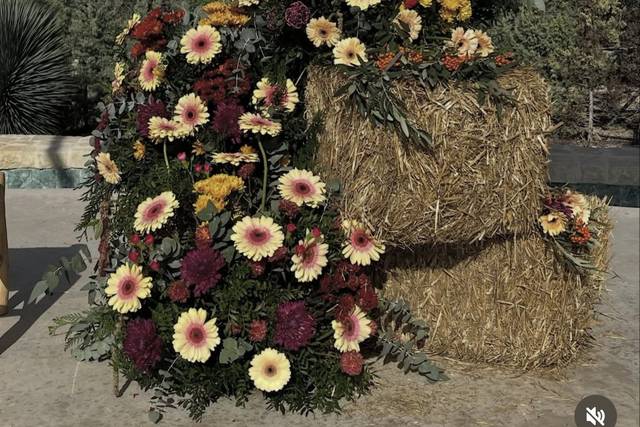 Combinación con paja