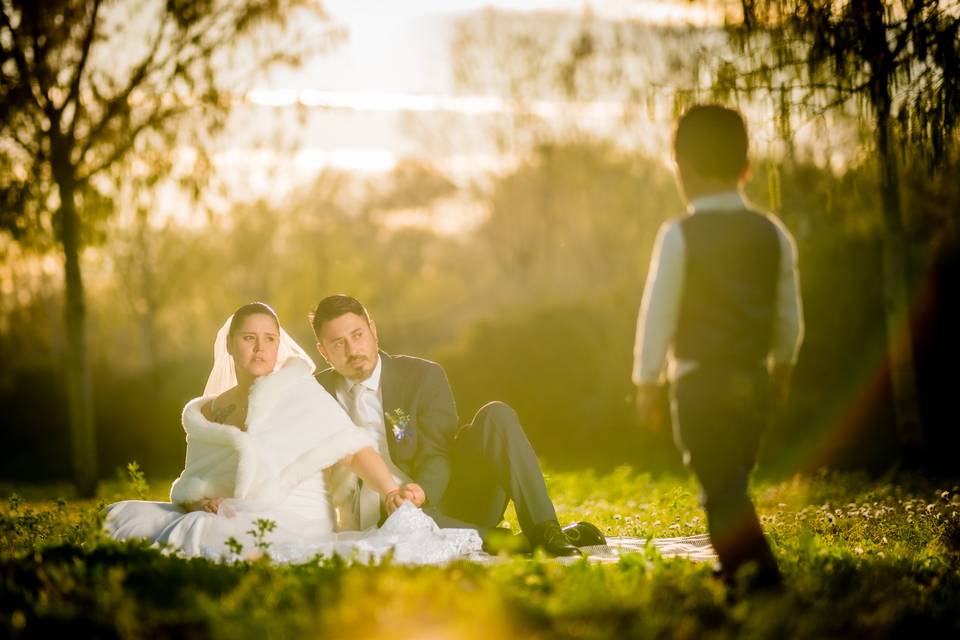 Novios