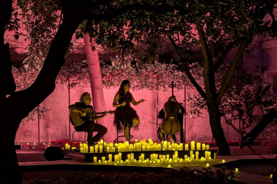 Salem, el sonido del silencio.