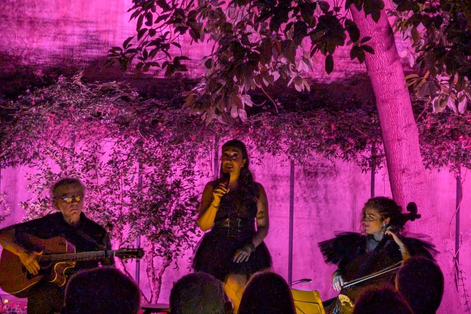 Salem, el sonido del silencio.