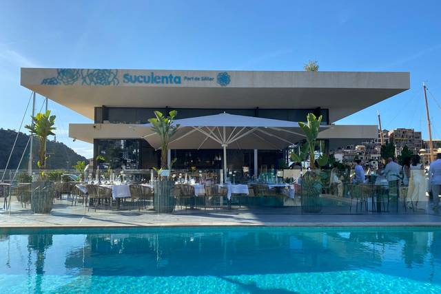 Suculenta and Pool