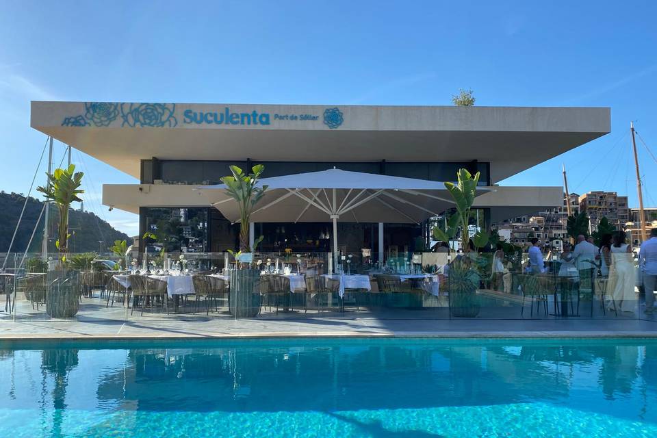 Suculenta and Pool