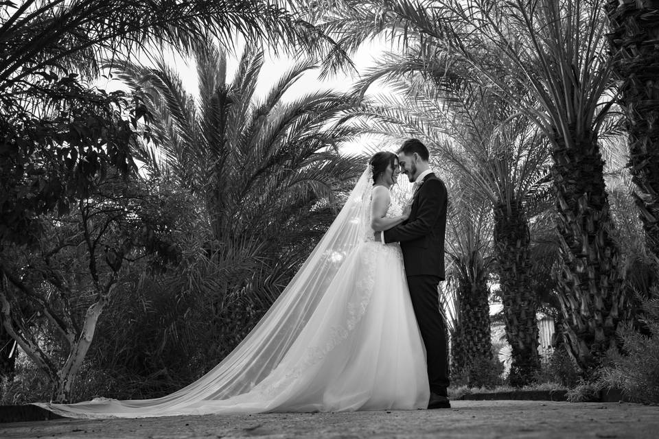 Postboda de Carlos y Cristina