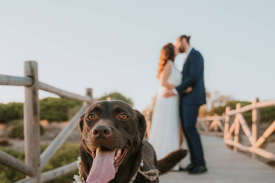 Marcela & Gerard