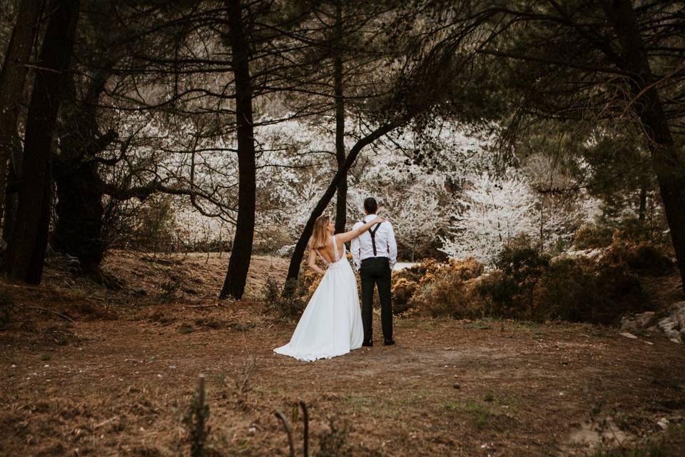 Postboda de Pablo y Marina