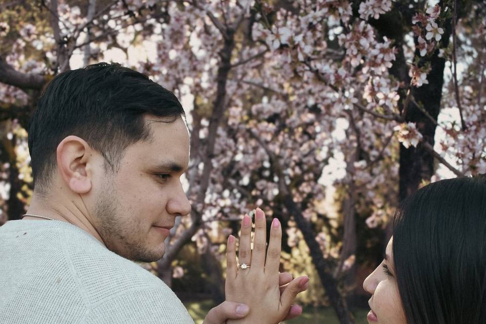Compromiso