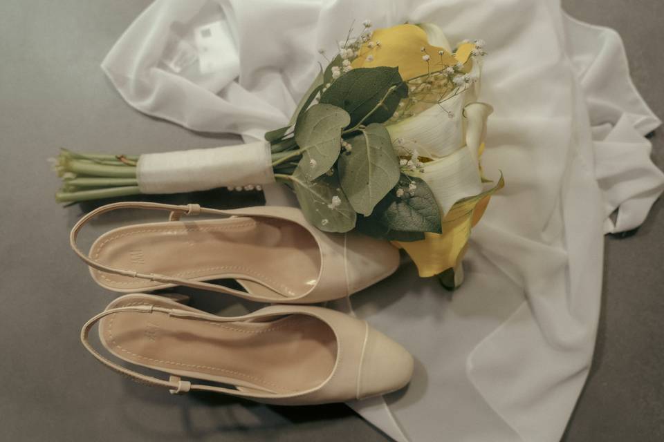 Preparativos