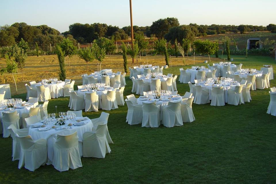 Boda en exterior mantel blanco