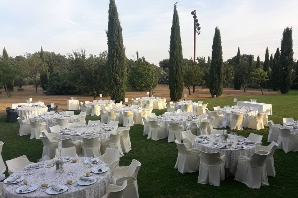 Restaurante preparado