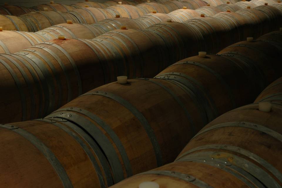 Barricas de vino