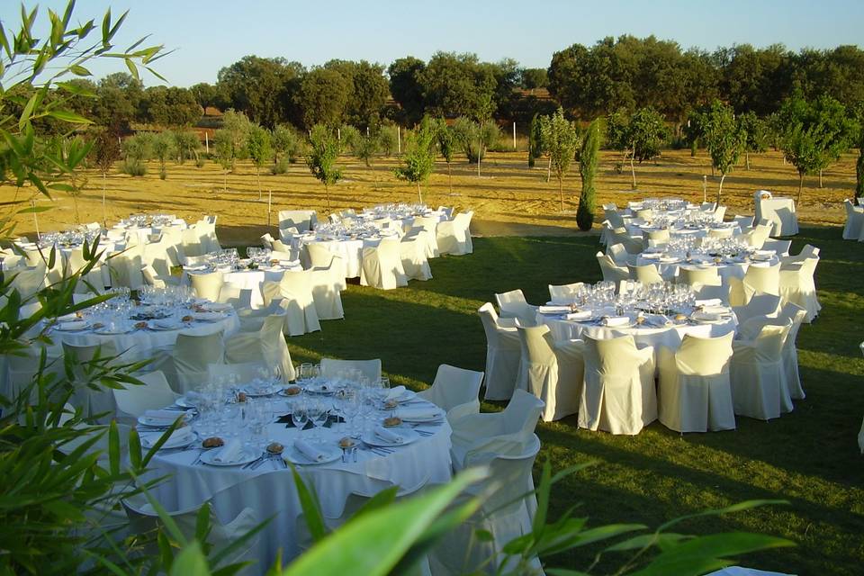 Detalle de boda exterior