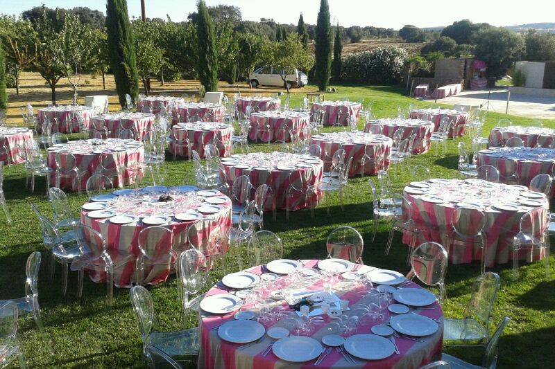 Boda civil bodega