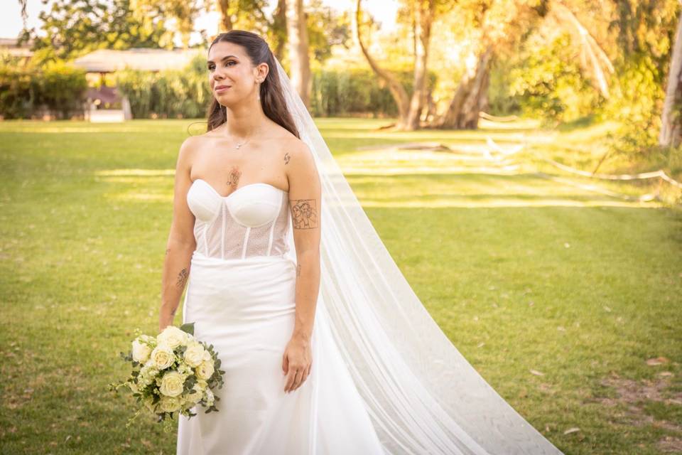 Novia