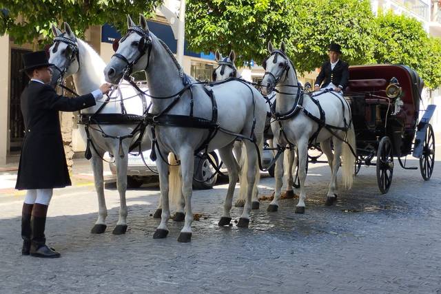 Legado Romano Tours Astigia
