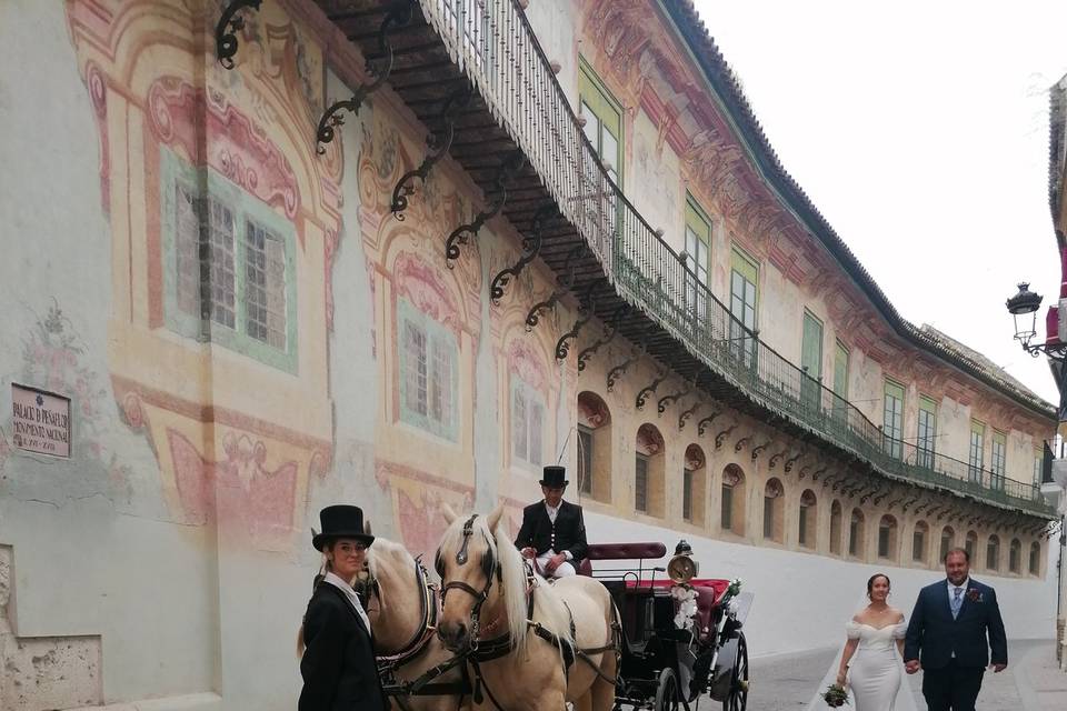 Legado Romano Tours Astigia