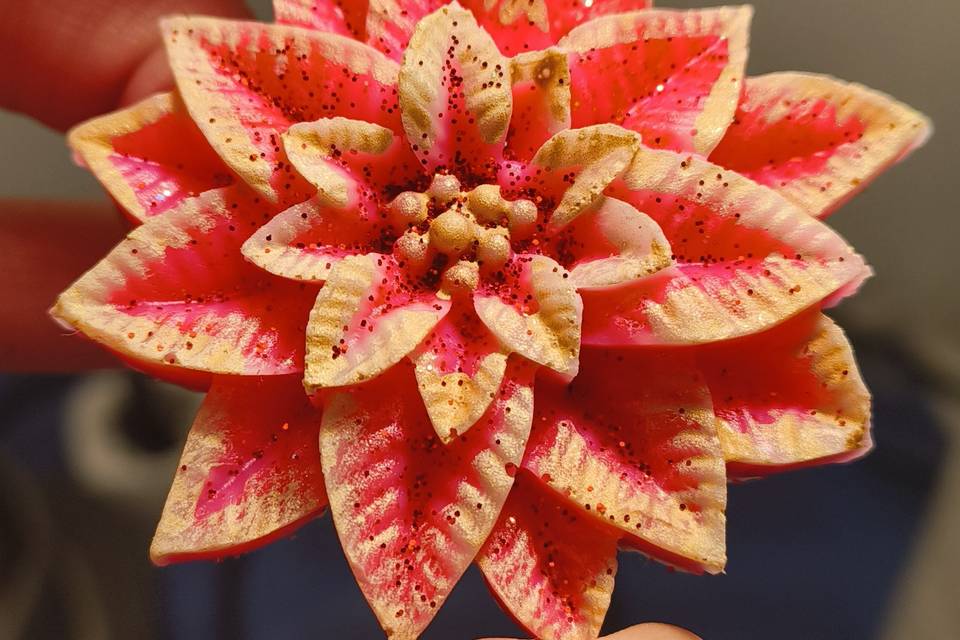 Flor pascua
