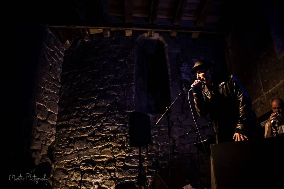 Versos Robados